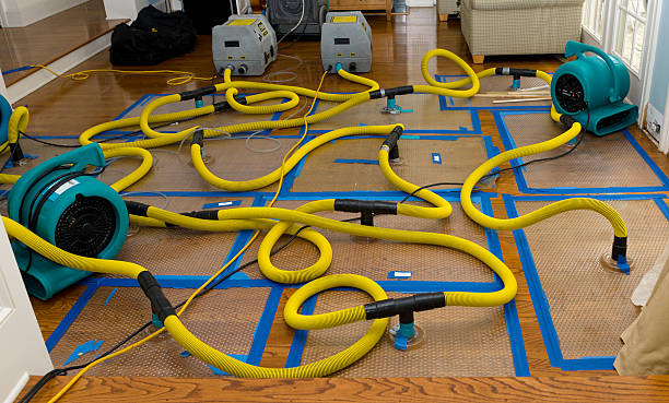 Professional Storm Water Damage Restoration technician working in Ferndale, WA